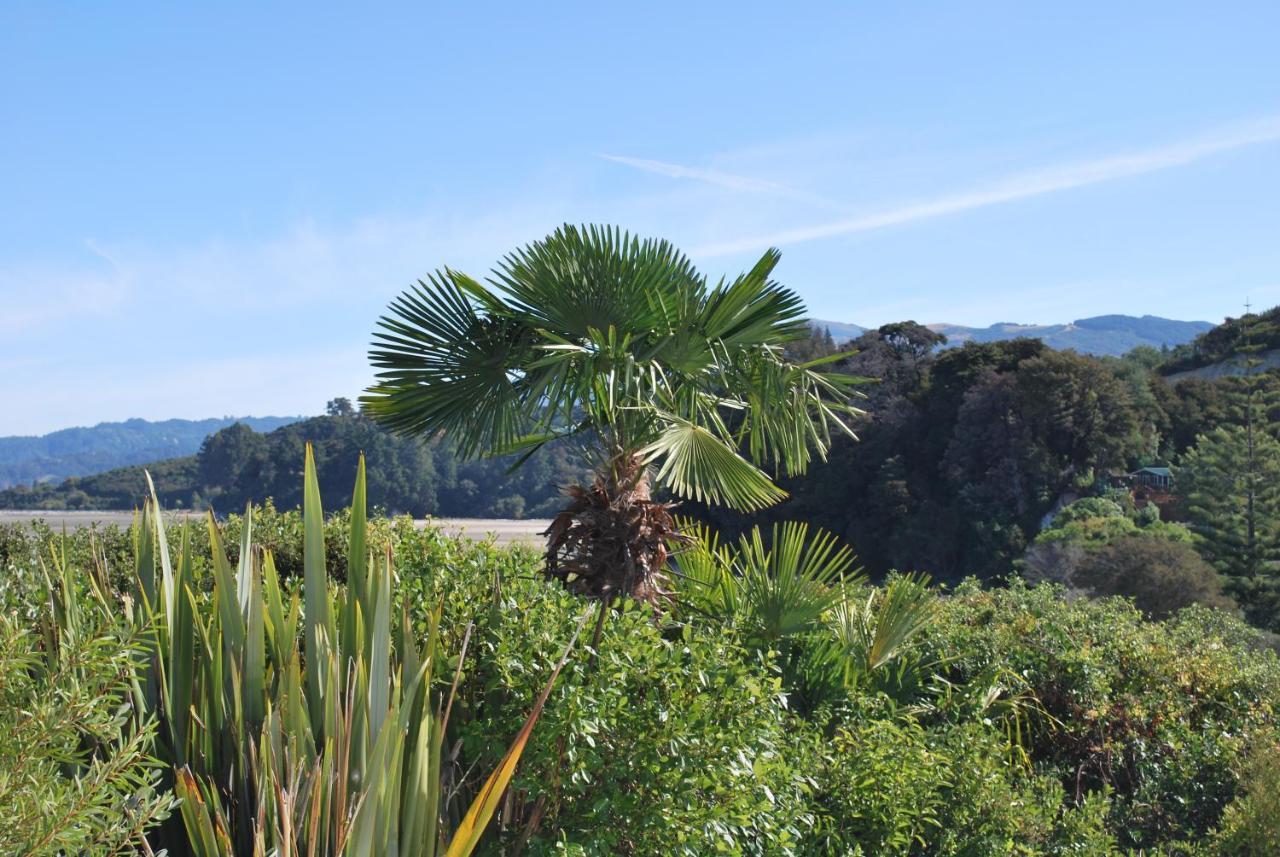 Front:palms-on-the-beach.kaiteriteri. *