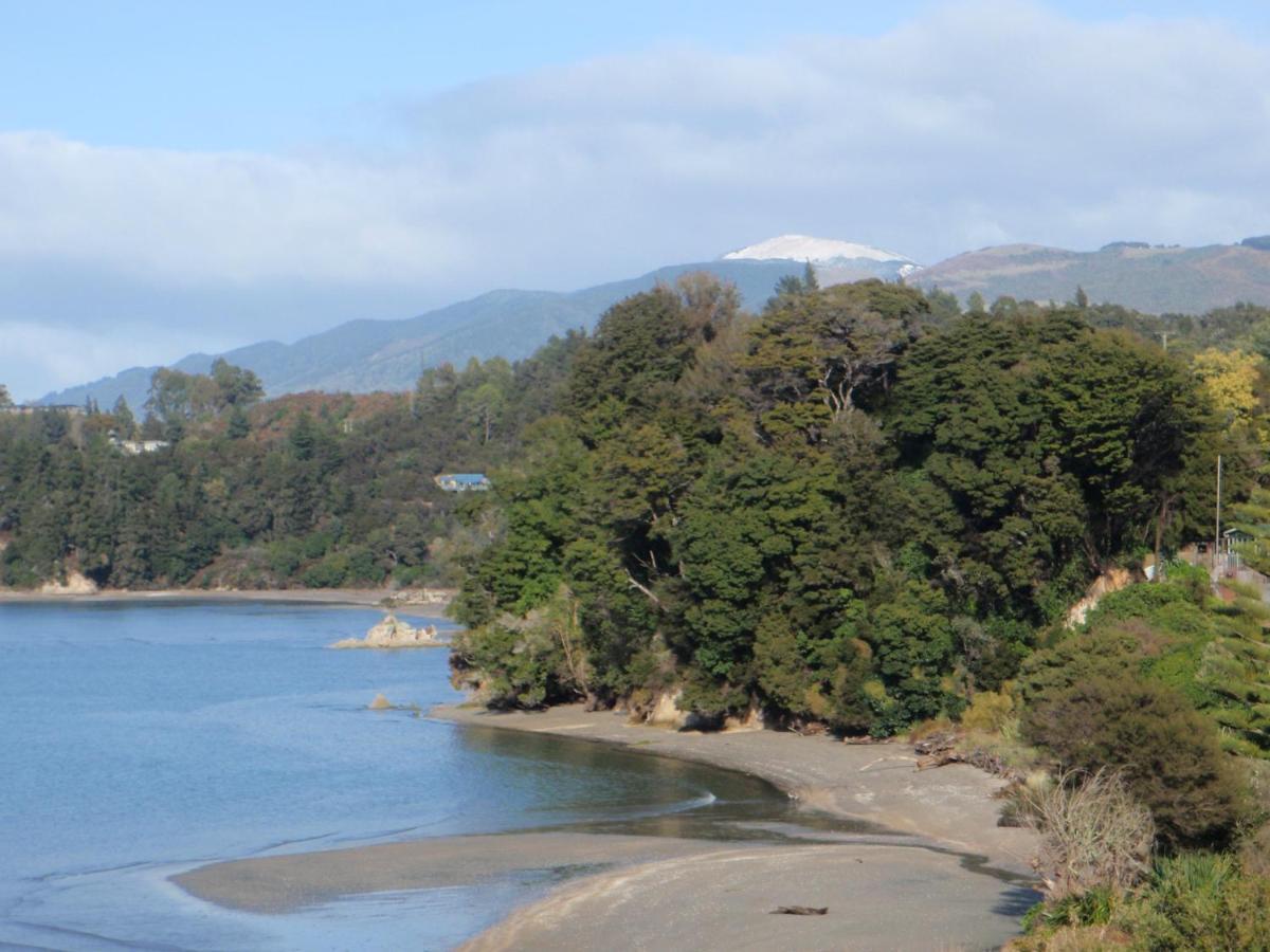 Front:palms-on-the-beach.kaiteriteri. *