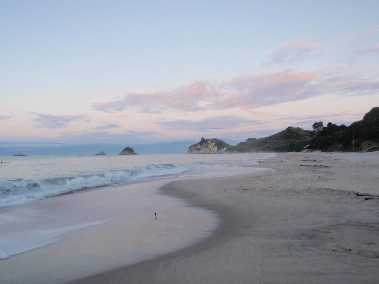 Front:palms-on-the-beach.kaiteriteri. *